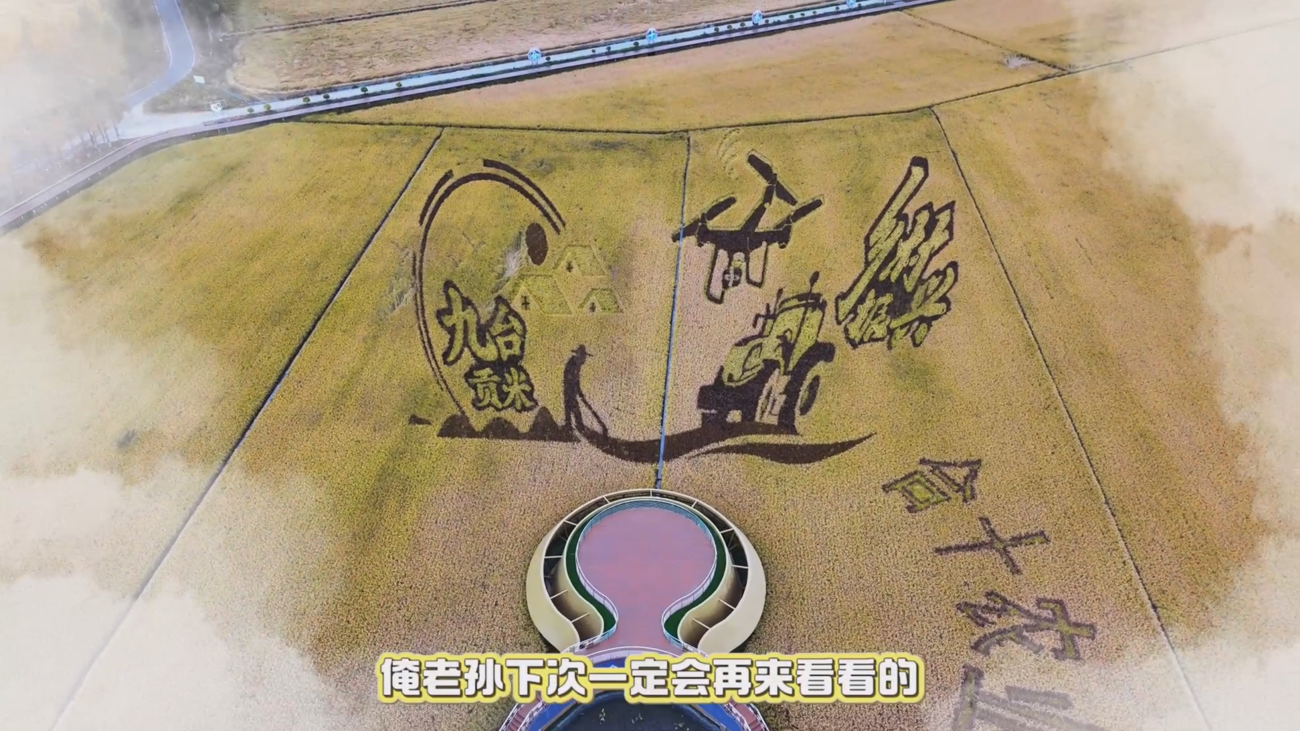 人民视频|长春市白金名片“九台贡米”喜获丰收