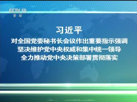 坚决维护党中央权威和集中统一领导 全力推动党中央决策部署贯彻落实