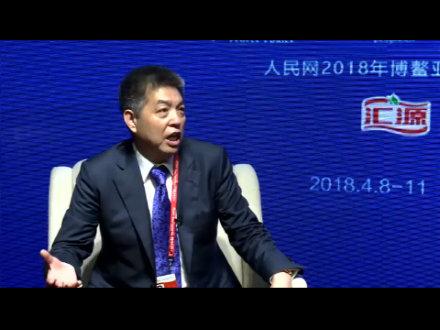 人民网专访岚桥集团董事长叶成